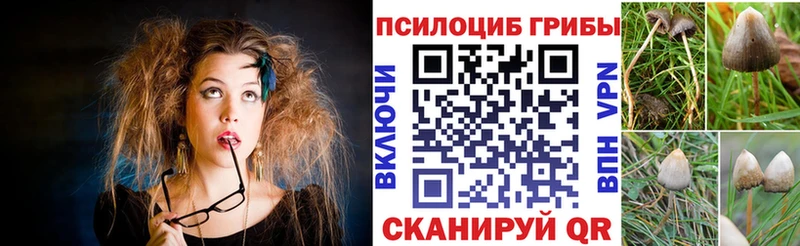Псилоцибиновые грибы Magic Shrooms  закладки  Покров 